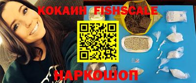 гашик Кингисепп