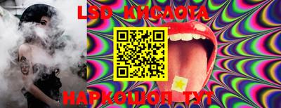 гашик Кингисепп