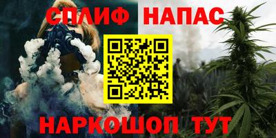 дживик Кимры