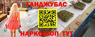 гашик Кингисепп