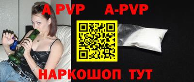 гашик Кингисепп