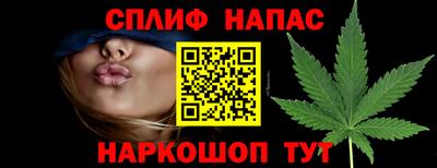 гашик Кингисепп