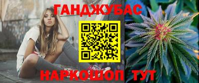 гашик Кингисепп