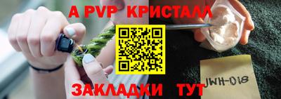 гашик Кингисепп