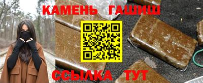 гашик Кингисепп