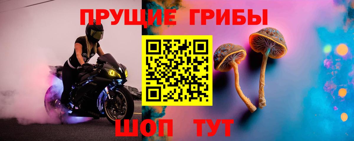 Псилоцибиновые грибы GOLDEN TEACHER  Вход с VPN  Котельники 